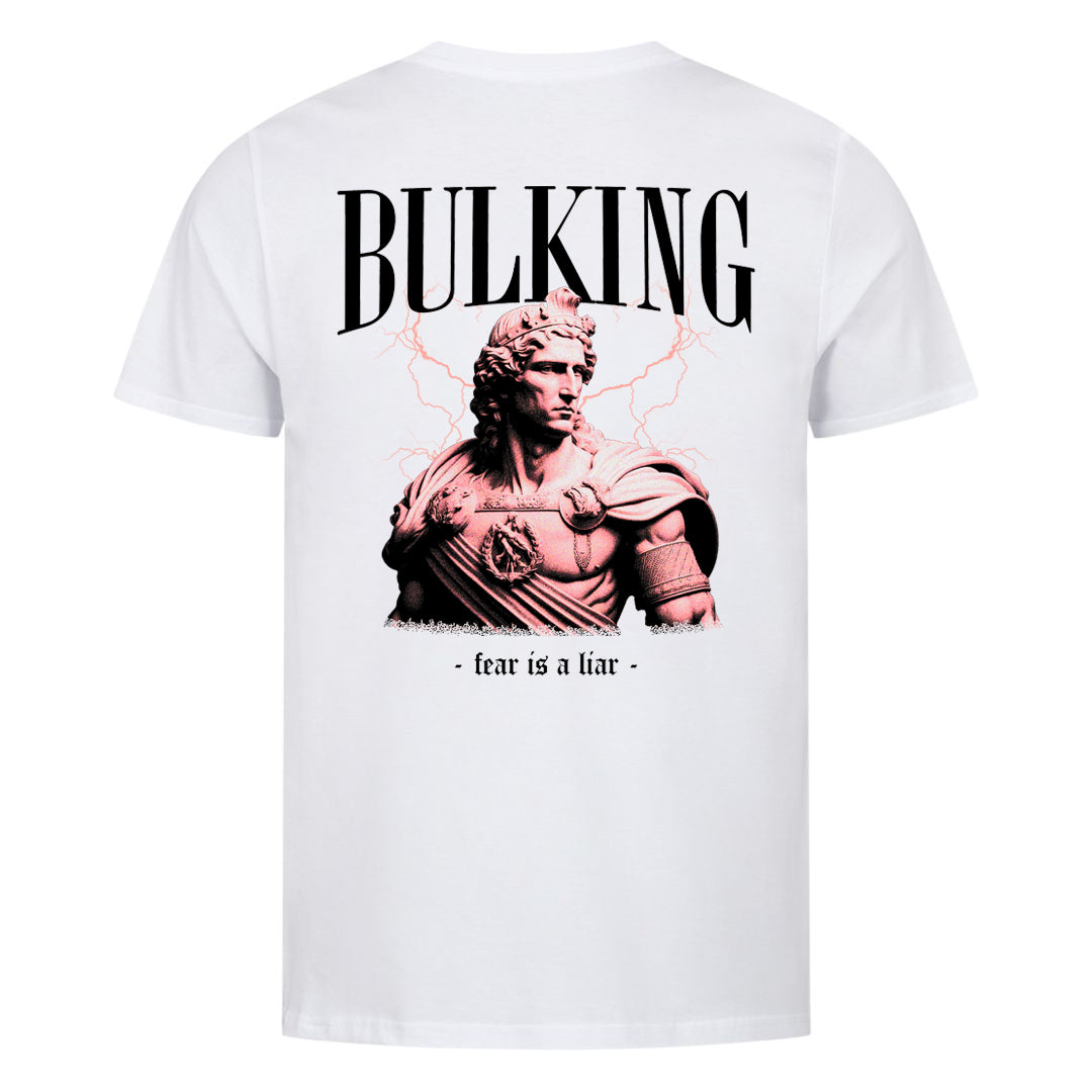 Bulking (Backprint) Shirt